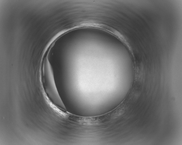 X0000080790955200612151451