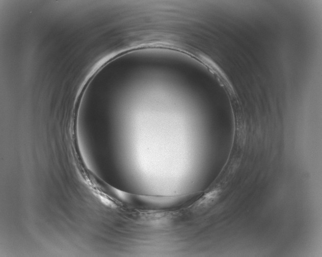 X0000080790956200612151451