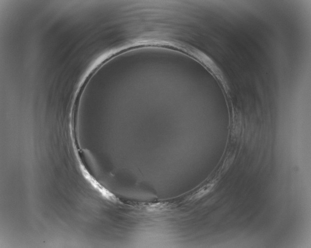 X0000080790958200612151451