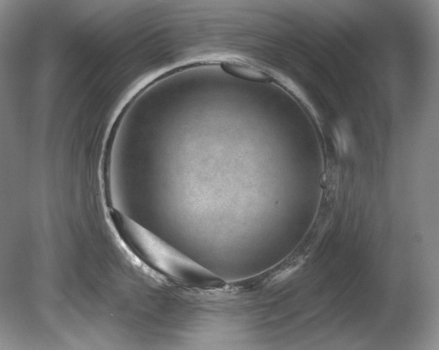 X0000080790959200612151451