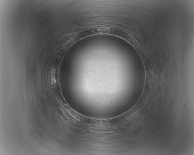 X0000080790962200612151450