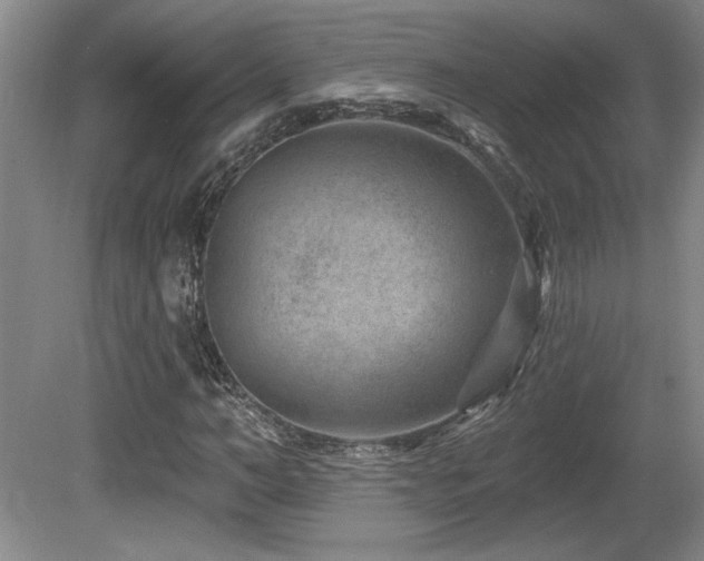 X0000080790966200612151450