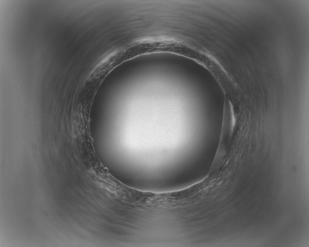 X0000080790967200612151450