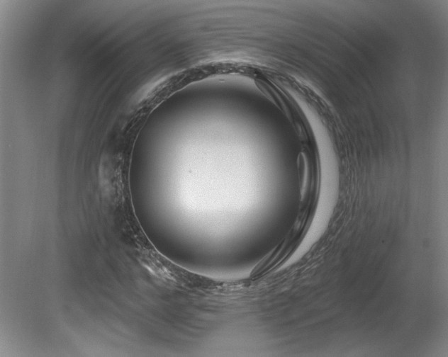 X0000080790968200612151450