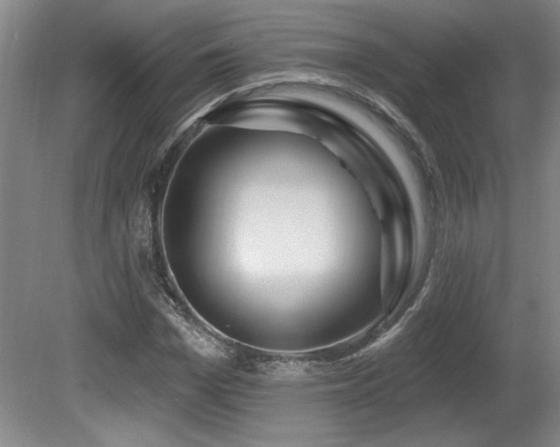 X0000080790969200612151450