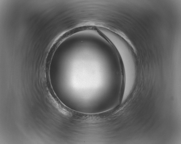 X0000080790972200612151450