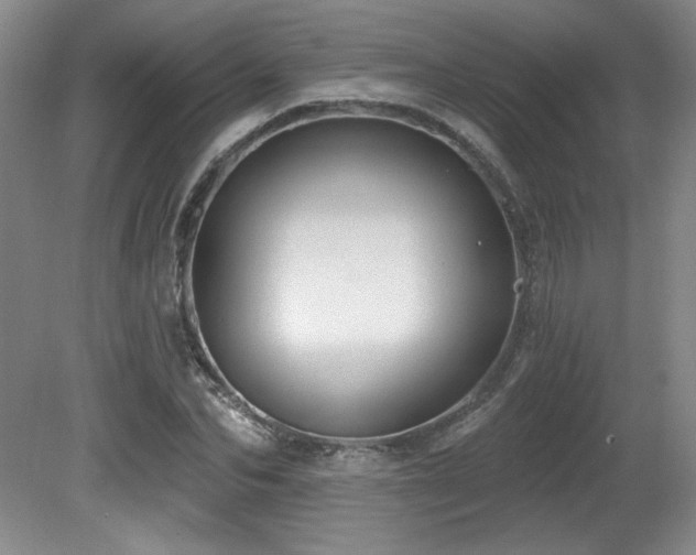 X0000080790974200612151450