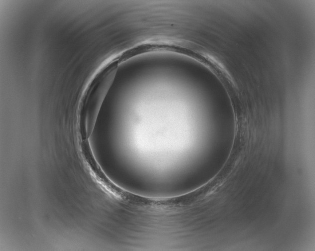 X0000080790976200612151450