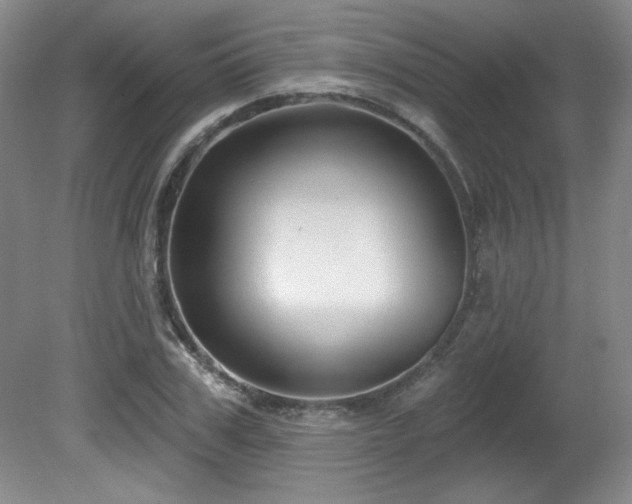 X0000080790979200612151450