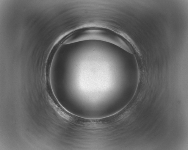 X0000080790980200612151450