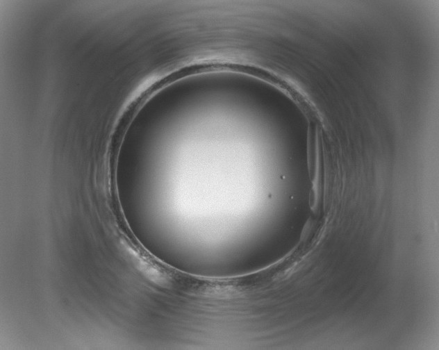 X0000080790982200612151450