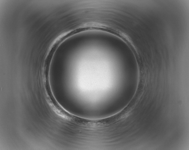 X0000080790987200612151450