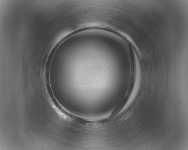 X0000080790991200612151450