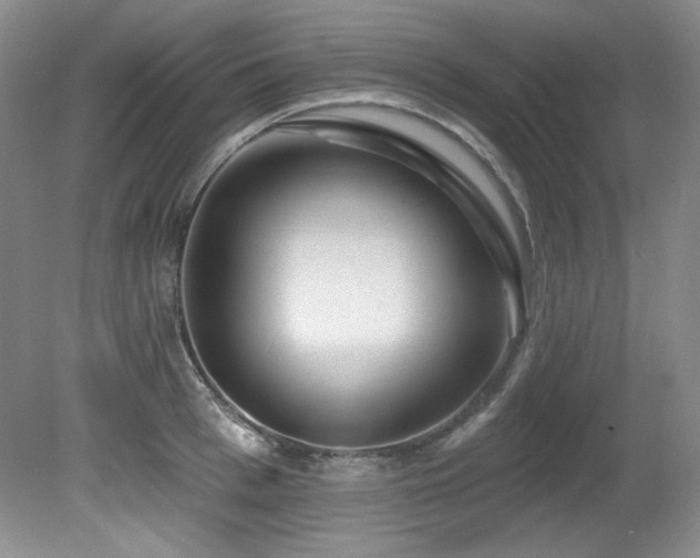 X0000080790993200612151450