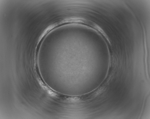 X0000080790994200612151450