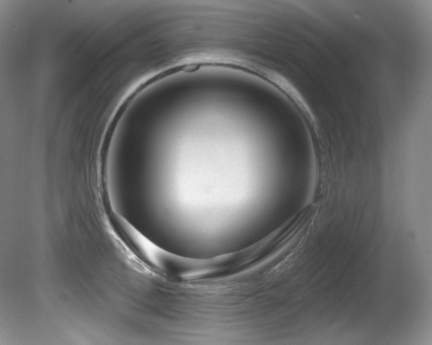 X0000080790996200612151450