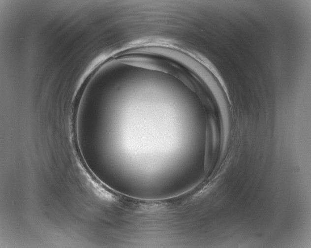 X0000080790997200612151450