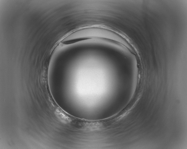 X0000080791001200612151450