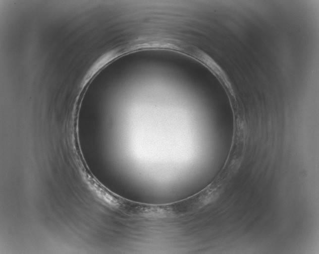 X0000080791002200612151450