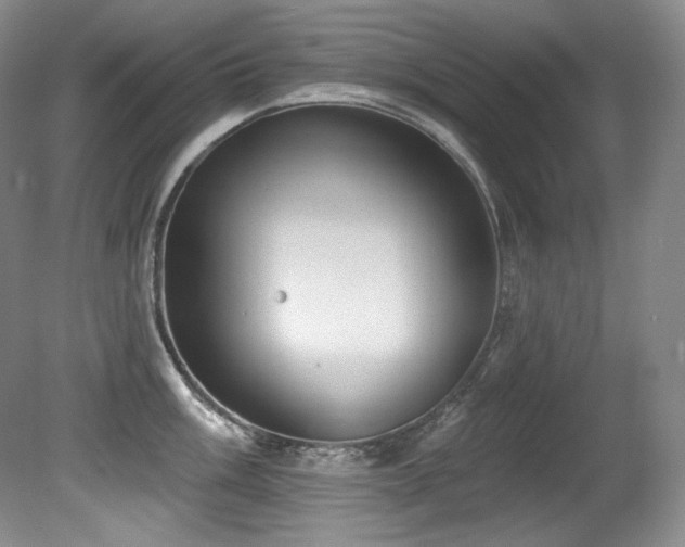 X0000080791003200612151450