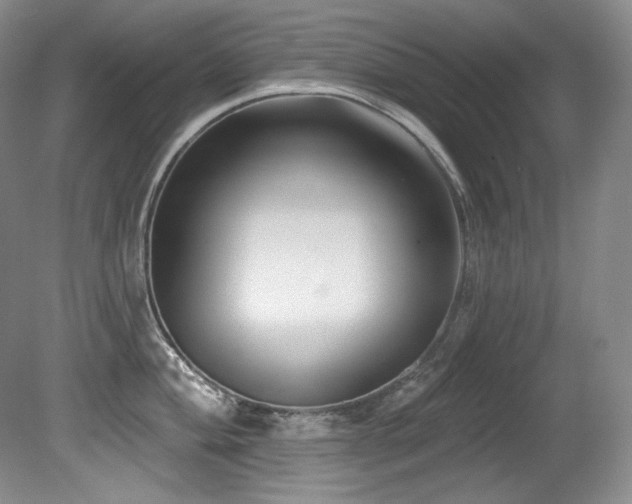 X0000080791004200612151450