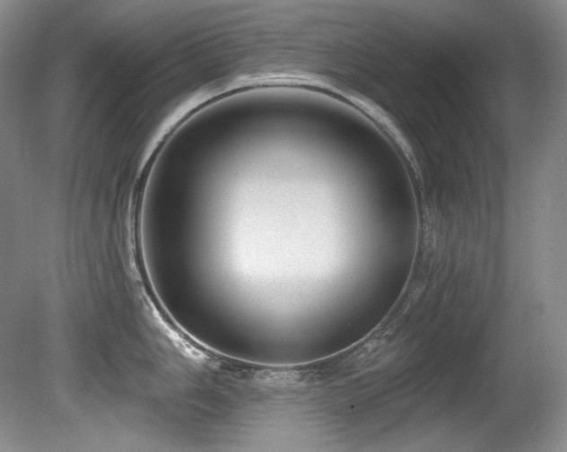 X0000080791006200612151450