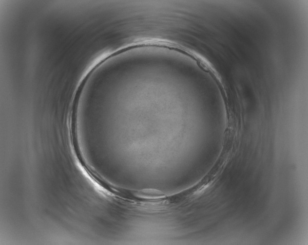 X0000080791007200612151450