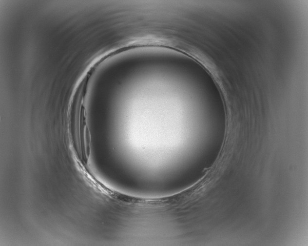 X0000080791008200612151450