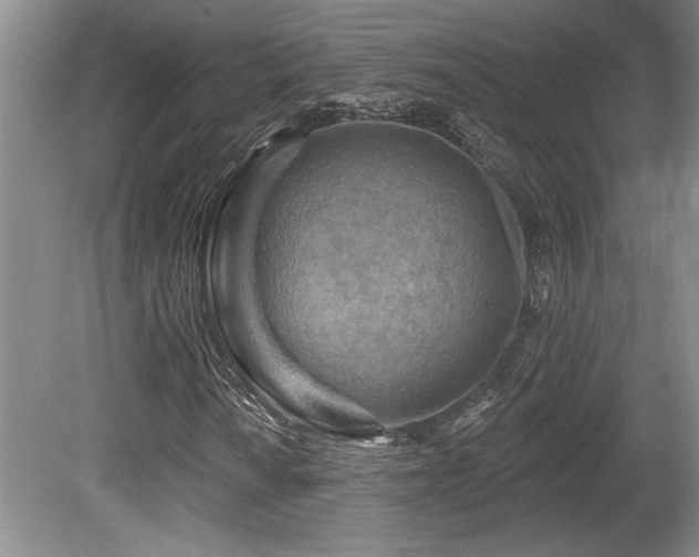 X0000080791010200612151449