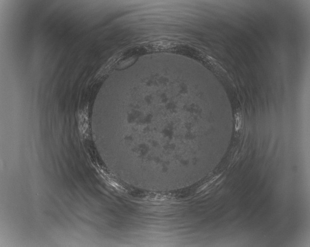 X0000080791011200612151449
