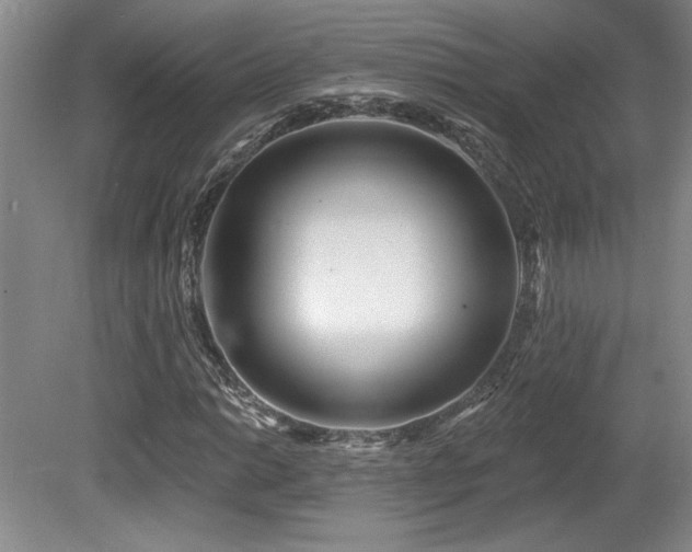 X0000080791014200612151449