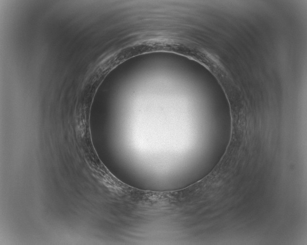 X0000080791015200612151449