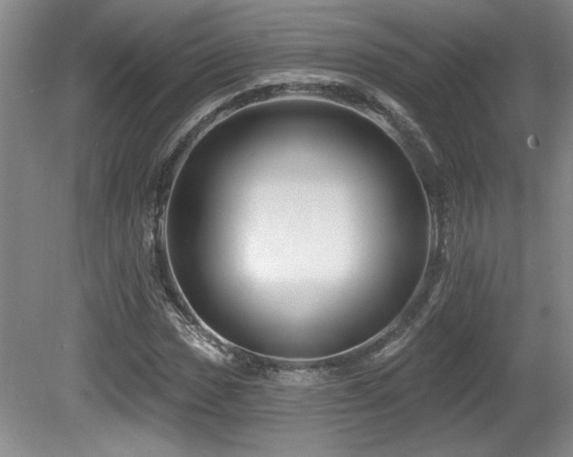 X0000080791017200612151449