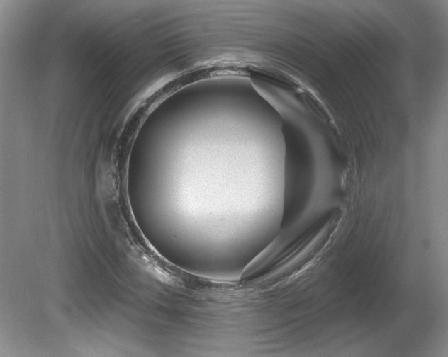 X0000080791018200612151449