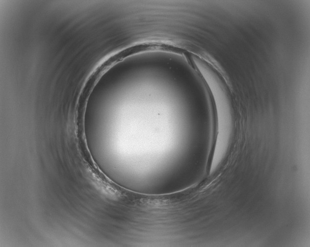 X0000080791020200612151449