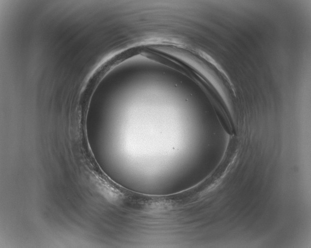 X0000080791021200612151449