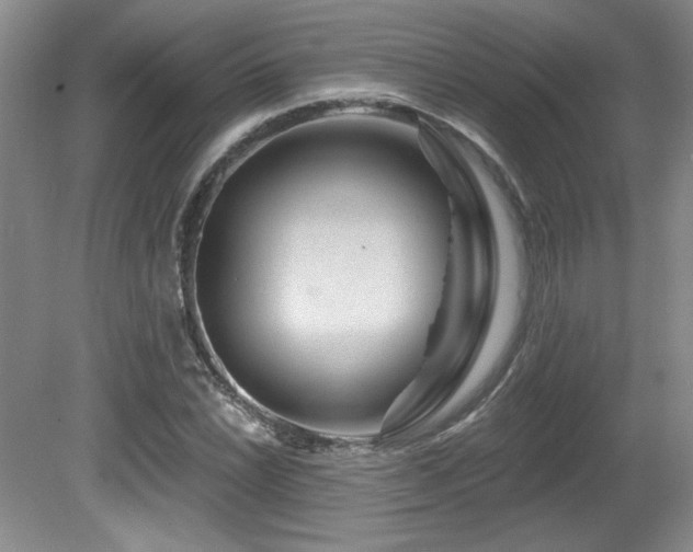 X0000080791022200612151449