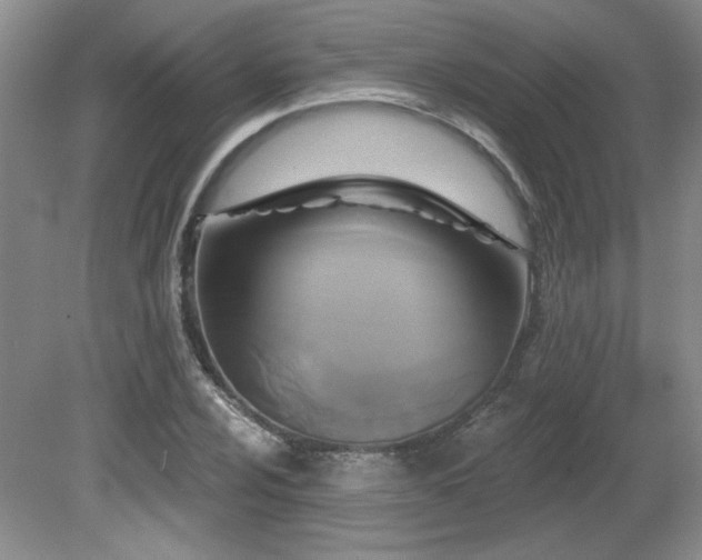 X0000080791024200612151449