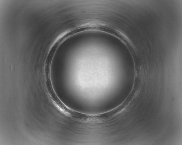X0000080791026200612151449