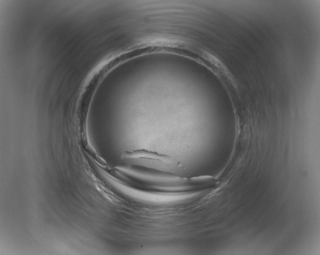 X0000080791027200612151449