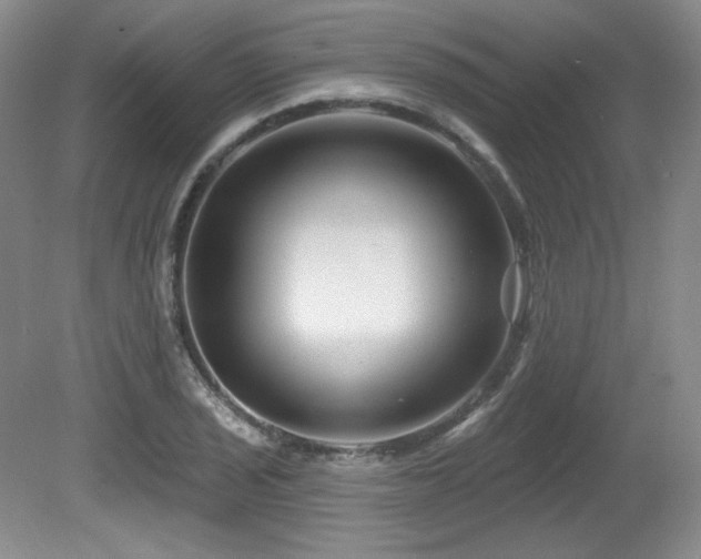 X0000080791029200612151449