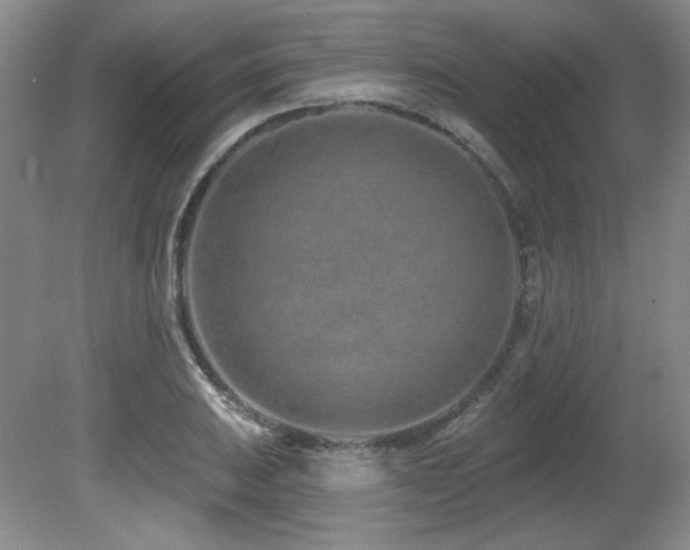 X0000080791031200612151449