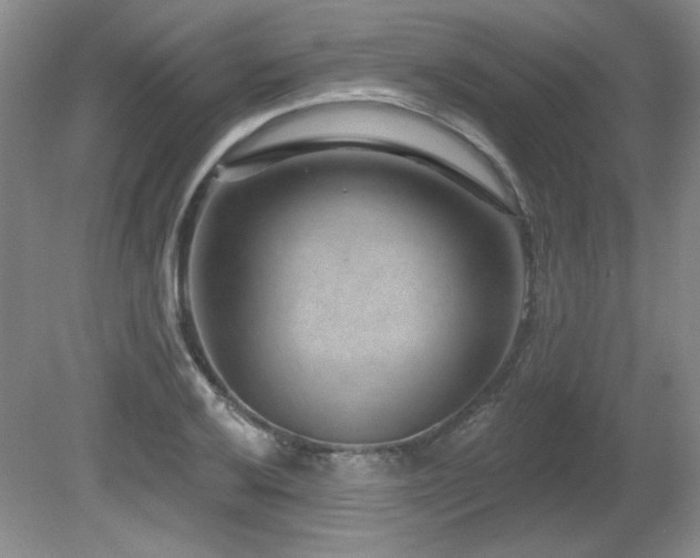 X0000080791032200612151449