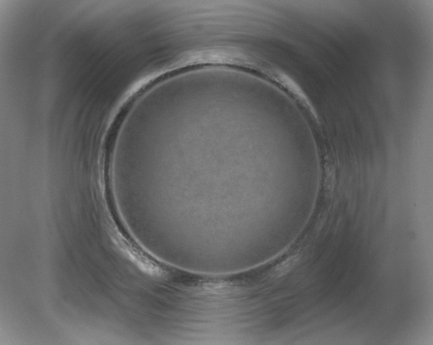 X0000080791035200612151449