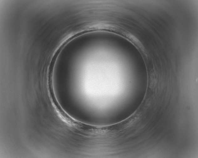 X0000080791039200612151449