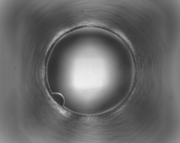 X0000080791040200612151449