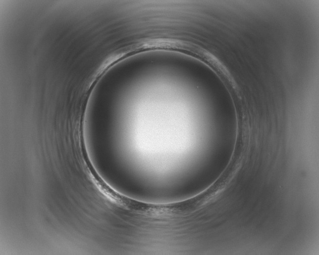 X0000080791041200612151449