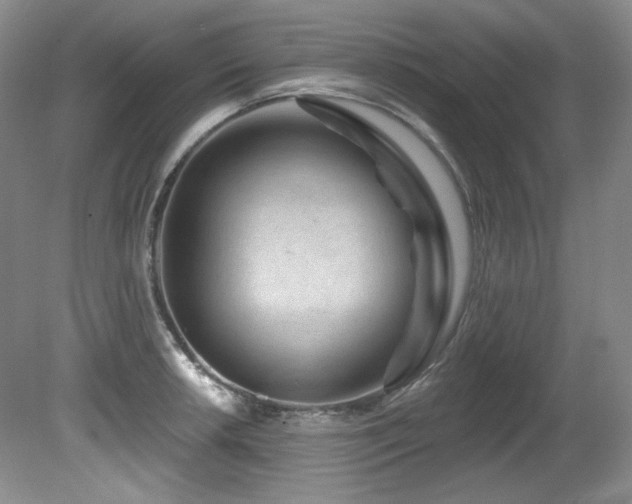X0000080791042200612151449