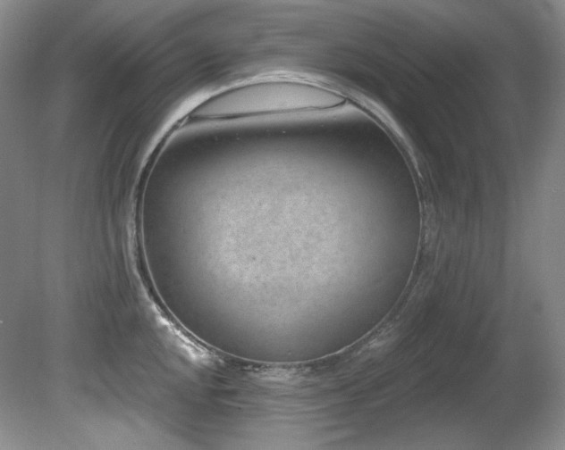 X0000080791048200612151450