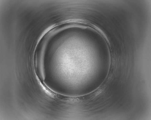 X0000080791050200612151450